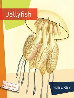 cover image of Jellyfish